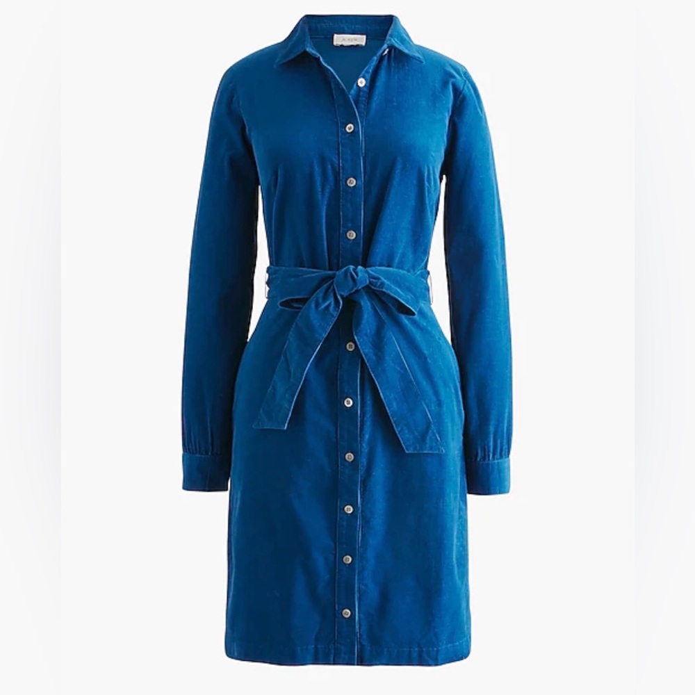 J. Crew Long Sleeve Blue Dress
